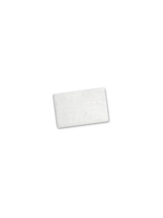 Airsense 10 Hypo Filter 2pk