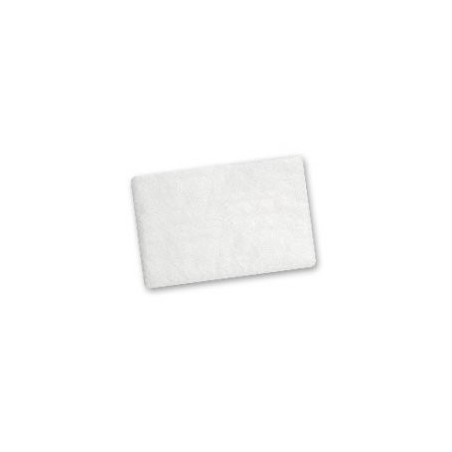 Airsense 10 Filtre Hypo 2pk