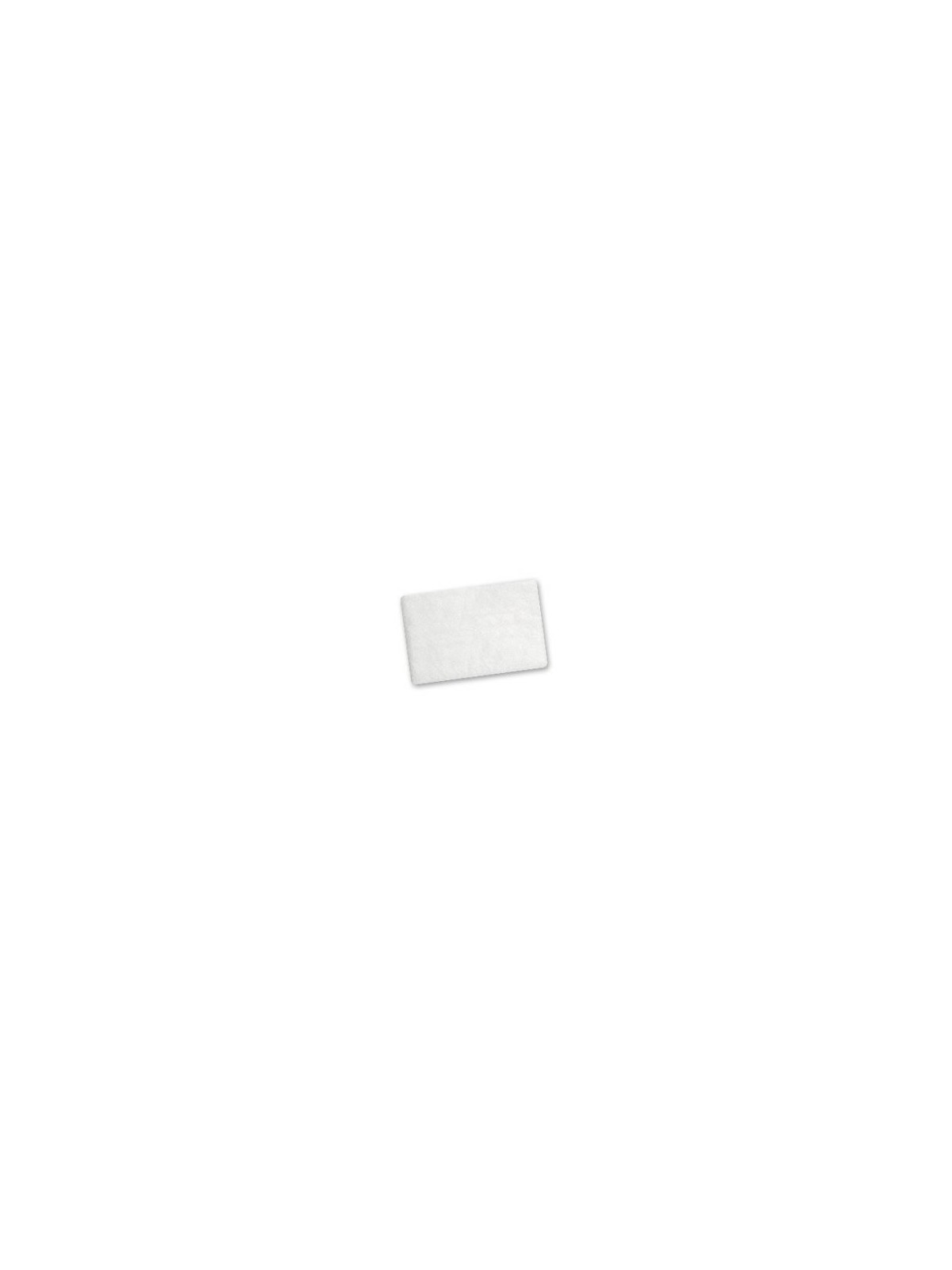Airsense 10 Hypo Filter 2pk