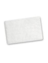 Airsense 10 Hypo Filter 2pk